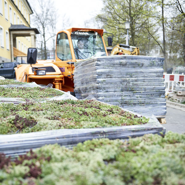 Vegetační zelená střecha - ECOSEDUM PACK