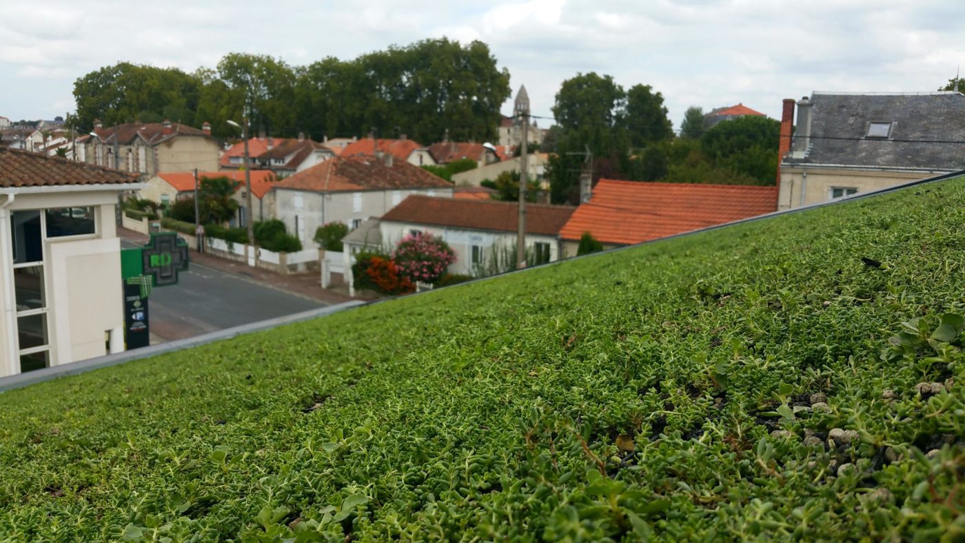 Vegetační zelená střecha - ECOSEDUM PACK